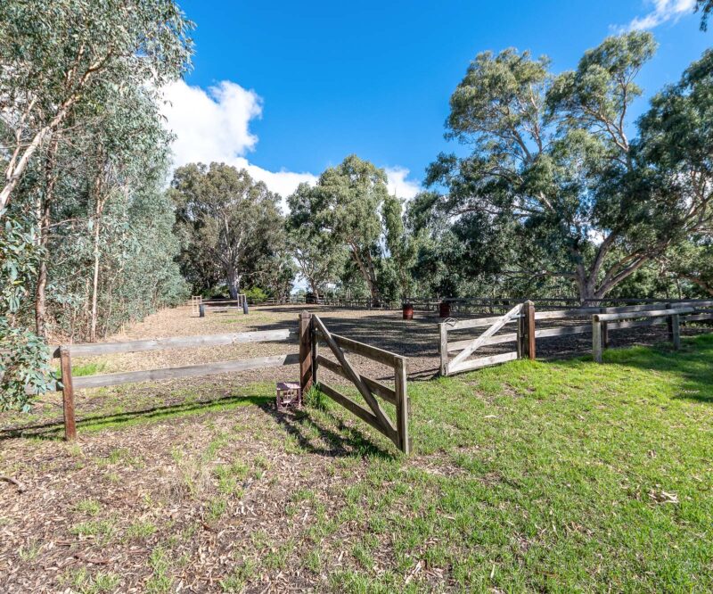 CJL0742-079-WEB-LARGE