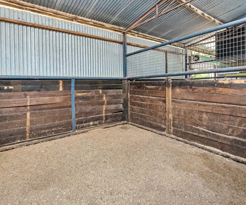 CJL0742-083-WEB-LARGE