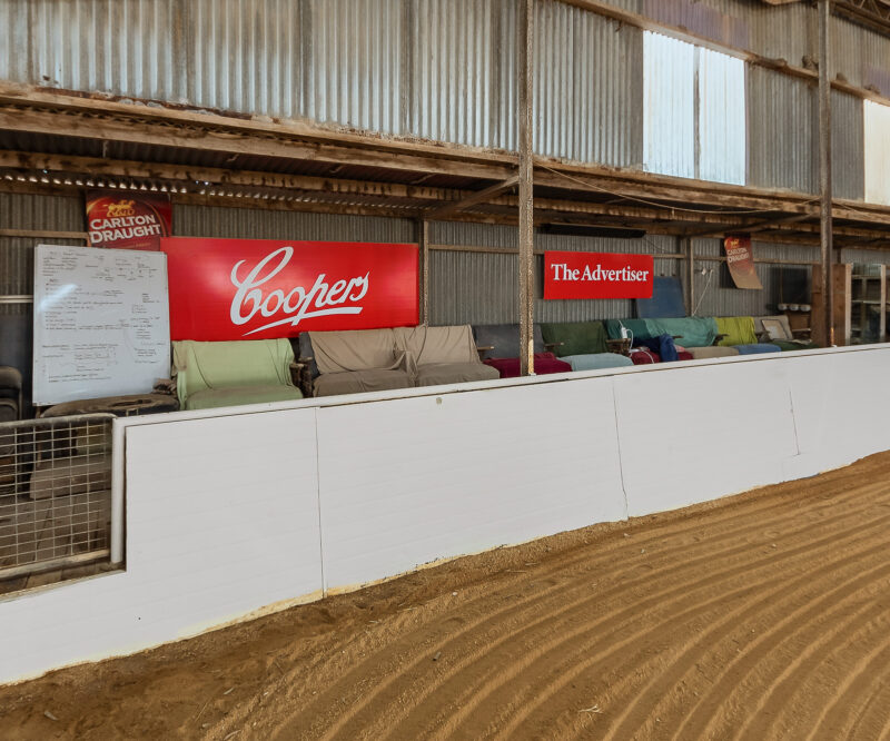 CJL0742-146-WEB-LARGE